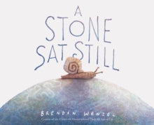 A Stone Sat Still - Brendan Wenzel (Hardback) 27-08-2019 