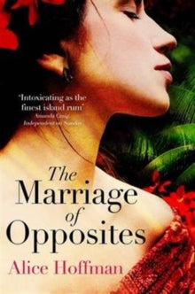 The Marriage of Opposites - Alice Hoffman (Paperback) 25-08-2016 