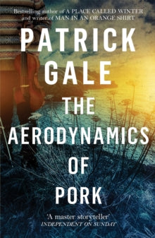 The Aerodynamics of Pork - Patrick Gale (Paperback) 18-10-2018 