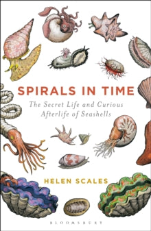Spirals in Time: The Secret Life and Curious Afterlife of Seashells - Helen Scales (Paperback) 07-04-2016 