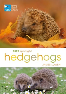 RSPB Spotlight Hedgehogs - James Lowen (Paperback) 28-06-2018 