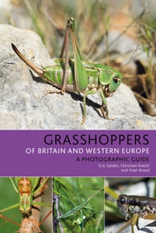 Grasshoppers of Britain and Western Europe: A Photographic Guide - Eric Sardet; Christian Roesti; Yoan Braud (Paperback) 10-06-2021 