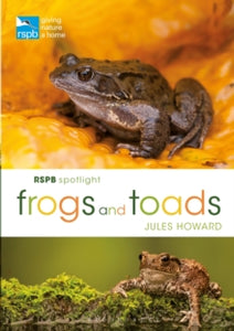 RSPB Spotlight Frogs and Toads - Mr Jules Howard (Paperback) 25-07-2019 