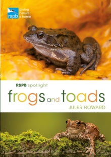RSPB Spotlight Frogs and Toads - Mr Jules Howard (Paperback) 25-07-2019 
