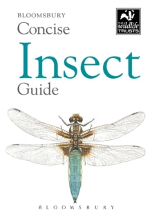 Concise Insect Guide - Bloomsbury (Paperback) 24-08-2018 