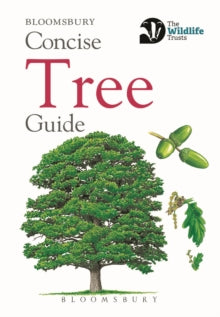 Concise Guides  Concise Tree Guide - Bloomsbury (Paperback) 24-08-2018 