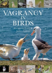 Vagrancy in Birds - Dr Alexander Lees; Dr James Gilroy (Hardback) 09-12-2021 