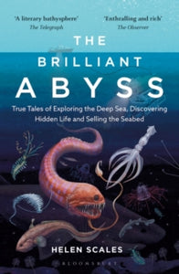 The Brilliant Abyss: True Tales of Exploring the Deep Sea, Discovering Hidden Life and Selling the Seabed - Helen Scales (Paperback) 04-08-2022 