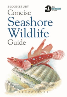 Concise Seashore Wildlife Guide - Bloomsbury (Paperback) 11-01-2019 