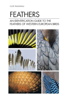Feathers: An Identification Guide to the Feathers of Western European Birds - Cloe Fraigneau (Hardback) 25-11-2021 