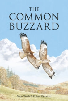 Poyser Monographs  The Common Buzzard - Sean Walls; Professor Robert Kenward; Alan Harris (Paperback) 23-01-2020 