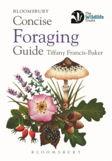 Concise Foraging Guide - Tiffany Francis-Baker (Paperback) 13-05-2021 