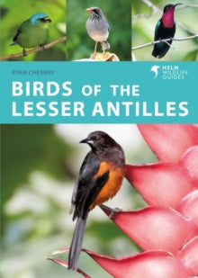 Helm Wildlife Guides  Birds of the Lesser Antilles - Ryan Chenery (Paperback) 07-07-2022 