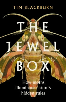 The Jewel Box: How Moths Illuminate Nature's Hidden Rules - Tim Blackburn (Hardback) 08-06-2023 