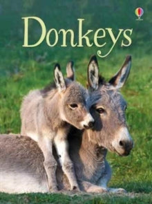 Beginners  Donkeys - James Maclaine; James Maclaine; Jeremy Norton (Hardback) 01-01-2017 