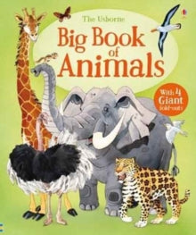Big Books  Big Book of Animals - Hazel Maskell; Fabiano Fiorin (Hardback) 01-04-2017 
