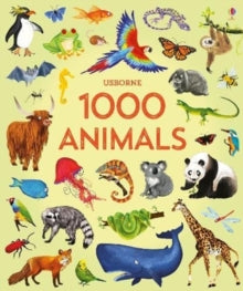 1000 Pictures  1000 Animals - Jessica Greenwell; Jessica Greenwell; Nikki Dyson (Hardback) 09-08-2018 