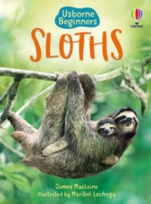 Beginners  Sloths - James Maclaine; Maribel Luchuga (Hardback) 31-03-2022 