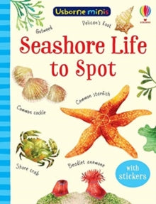 Usborne Minis  Seashore Life to Spot - Sam Smith; Stephanie Fizer Coleman (Paperback) 04-03-2021 