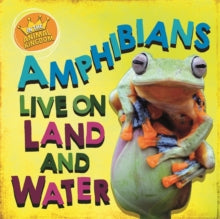 In the Animal Kingdom  In the Animal Kingdom: Amphibians Live on Land and in Water - Sarah Ridley (Paperback) 13-01-2022 