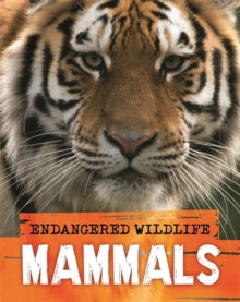 Endangered Wildlife: Rescuing Mammals - Anita Ganeri (Paperback) 12-11-2020 