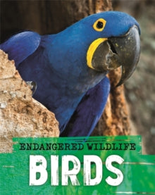 Endangered Wildlife: Rescuing Birds - Anita Ganeri (Paperback) 12-11-2020 