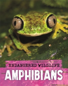 Endangered Wildlife: Rescuing Amphibians - Anita Ganeri (Paperback) 11-03-2021 