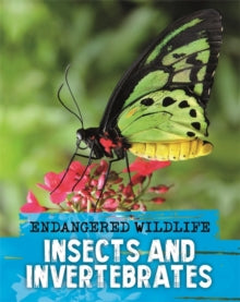 Endangered Wildlife: Rescuing Insects and Invertebrates - Anita Ganeri (Paperback) 14-01-2021 
