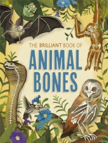 The Brilliant Book of Animal Bones - Anna Claybourne (Paperback) 14-10-2021 