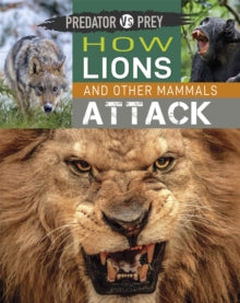Predator vs Prey  Predator vs Prey: How Lions and other Mammals Attack - Tim Harris (Paperback) 14-04-2022 