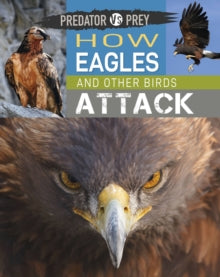Predator vs Prey  Predator vs Prey: How Eagles and other Birds Attack - Tim Harris (Paperback) 14-04-2022 