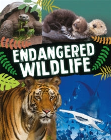 Endangered Wildlife - Anita Ganeri (Hardback) 11-11-2021 