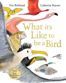 What it's Like to be a Bird - Tim Birkhead; Catherine Rayner (Hardback) 19-08-2021 