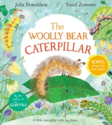 The Woolly Bear Caterpillar - Julia Donaldson; Yuval Zommer (Hardback) 24-06-2021 