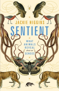 Sentient: What Animals Reveal About Our Senses - Jackie Higgins (Hardback) 24-06-2021 
