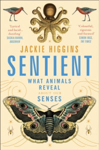 Sentient: What Animals Reveal About Human Senses - Jackie Higgins (Paperback) 12-05-2022 
