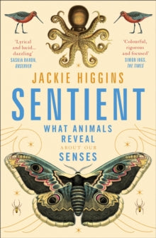 Sentient: What Animals Reveal About Human Senses - Jackie Higgins (Paperback) 12-05-2022 