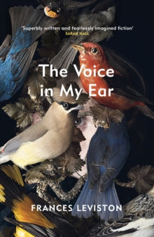 The Voice in My Ear - Frances Leviston (Paperback) 18-03-2021 