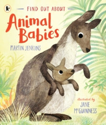 Find Out About ...  Find Out About ... Animal Babies - Martin Jenkins; Jane McGuinness (Paperback) 03-03-2022 