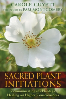 Sacred Plant Initiations: Communicating with Plants for Healing and Higher Consciousness - Carole Guyett; Pam Montgomery (Paperback) 23-04-2015 