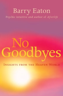 No Goodbyes: Insights From the Heaven World - Barry Eaton (Paperback) 26-02-2014 