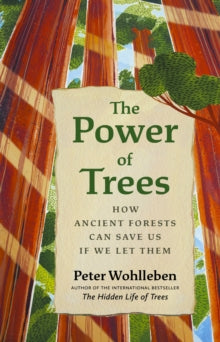 The Power of Trees: How Ancient Forests Can Save Us if We Let Them - Peter Wohlleben; Jane Billinghurst (Hardback) 20-04-2023 