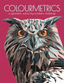 Colourmetrics: A Geometric Colour by Numbers Challenge - Max Jackson; Buster Books (Paperback) 08-07-2021 