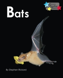 Reading Stars  Bats - Rickard Stephen (Paperback) 01-01-2019 
