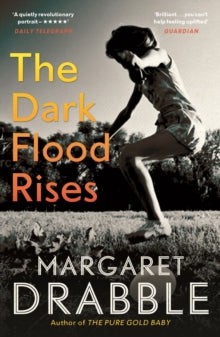 The Dark Flood Rises - Margaret Drabble (Paperback) 01-06-2017 