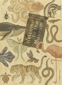 Welcome to the Museum: Animalium Collector's Edition - Jenny Broom; Katie Scott (Hardback) 01-09-2014 