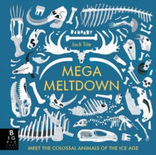 Mega Meltdown - Jack Tite; Jack Tite (Hardback) 18-10-2018 