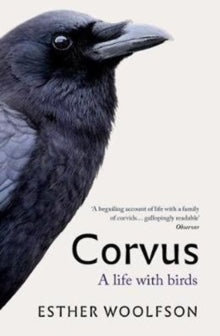 Corvus: A Life With Birds - Esther Woolfson (Paperback) 01-03-2018 