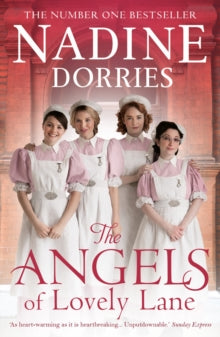 The Angels Of Lovely Lane - Nadine Dorries (Paperback) 01-12-2016 Short-listed for Parliamentary Book Awards: Best Fiction by a Parliamentarian 2016.