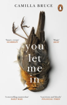 You Let Me In: The acclaimed, unsettling novel of haunted love, revenge and the nature of truth - Camilla Bruce (Paperback) 28-01-2021 